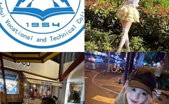 美国一本到免费放视频